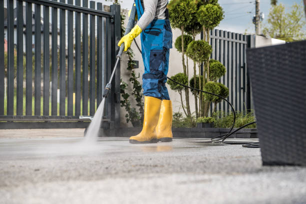 Best Roof Pressure Washing  in Fredericksburg, IA