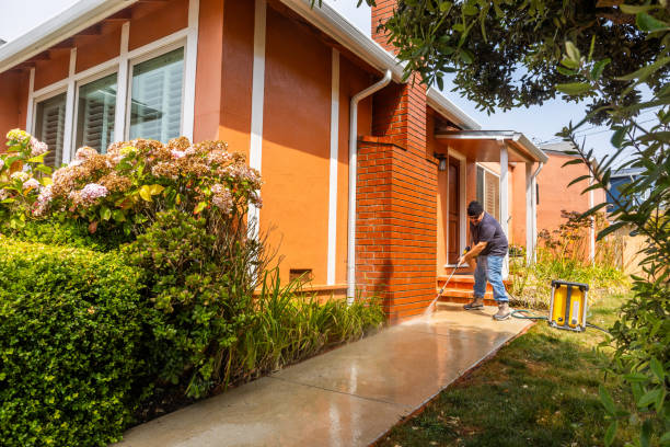 Best Exterior Home Cleaning  in Fredericksburg, IA